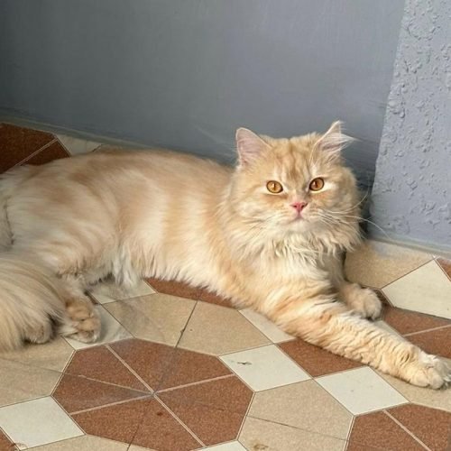 WhatsApp Image 2025-12-14 at 22.34.48